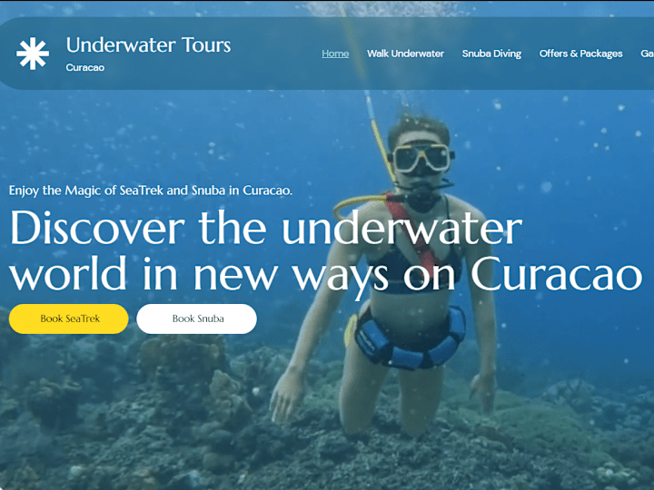 Cover image for Underwater Tours Curacao