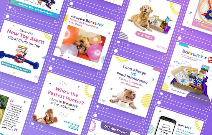Cover image for BarksJOY