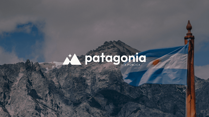 Cover image for Patagonia VP rebranding