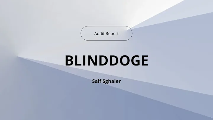 Cover image for Audit Report: BlindDoge Project