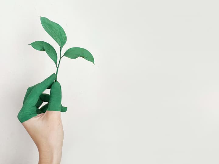 Cover image for Logo designer 