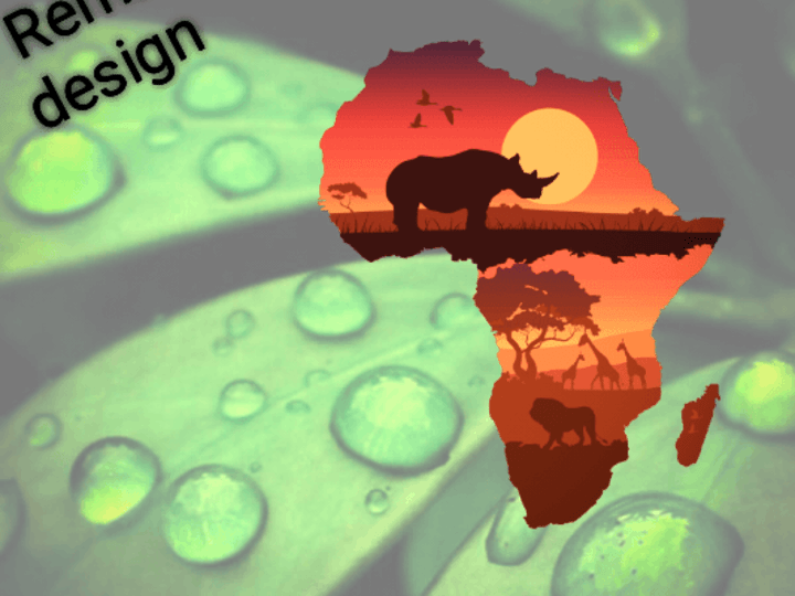 Cover image for African life