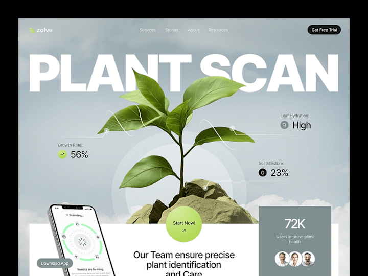 Cover image for Website Design