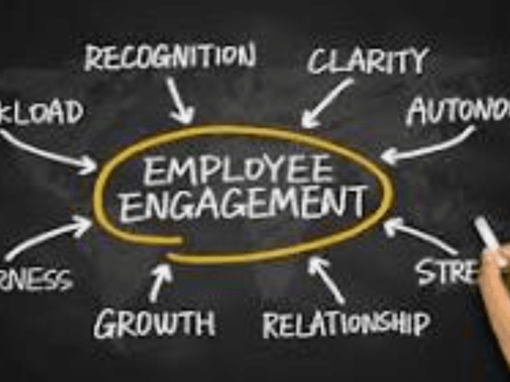 Cover image for Employee Programs for Acknowledgement, Transparency & Retention