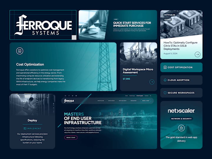 Cover image for Ferroque Systems