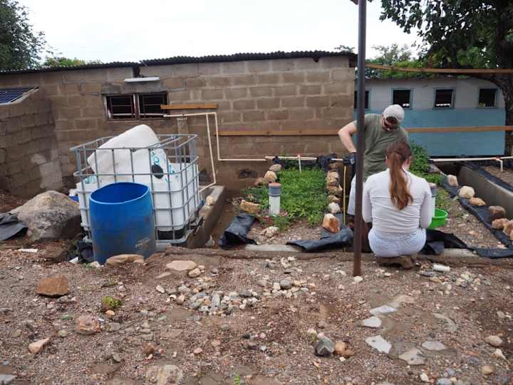 Cover image for Aquaponics System in Zambia
