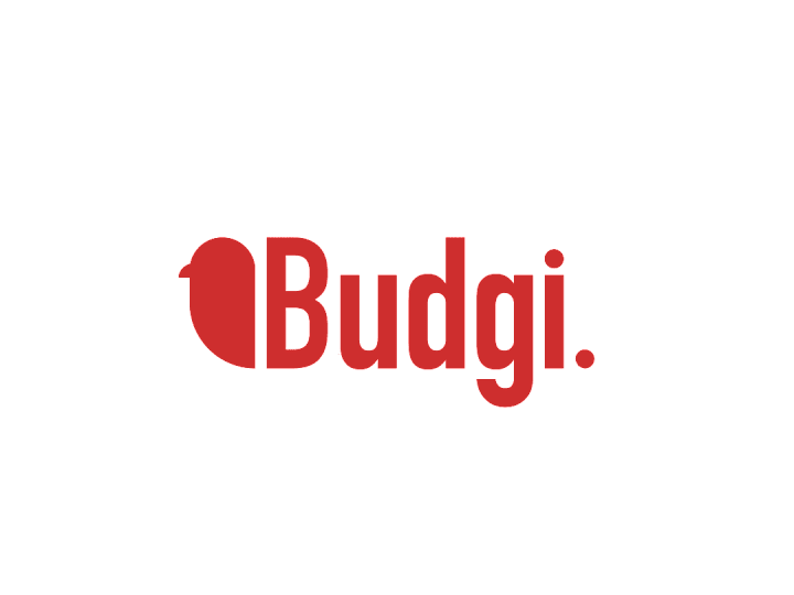 Cover image for Modern Logo Design for Budgi Inc.
