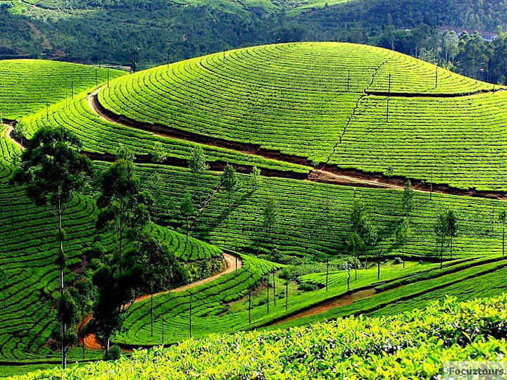 Cover image for Coimbatore to Ooty Cab