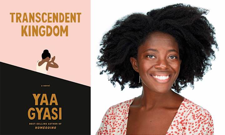 Cover image for We Take Everything with Us: An Interview with Yaa Gyasi