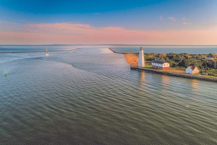 Cover image for Harbor Psychiatry