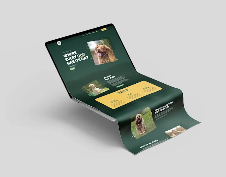 Cover image for  Wagtail - Wordpress