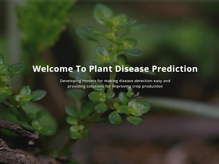Cover image for Plant Disease Prediction System
