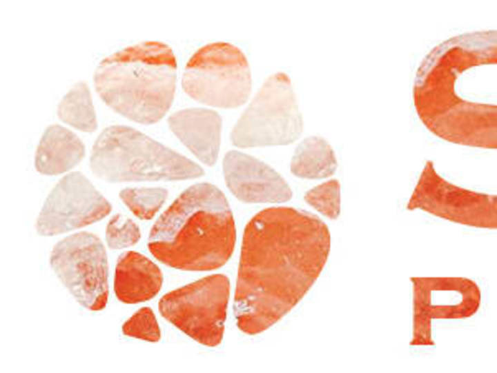 Cover image for Salt Pakistan SEO Achievements