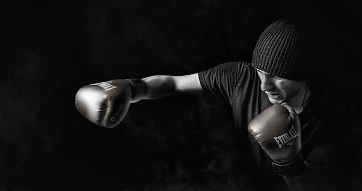 Cover image for The Punch Pro Product Collection Pages