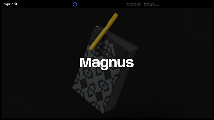 Cover image for Magnus Industries