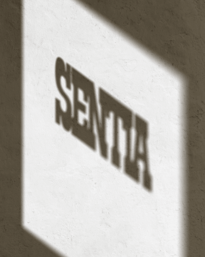 Cover image for Sentia Packaging