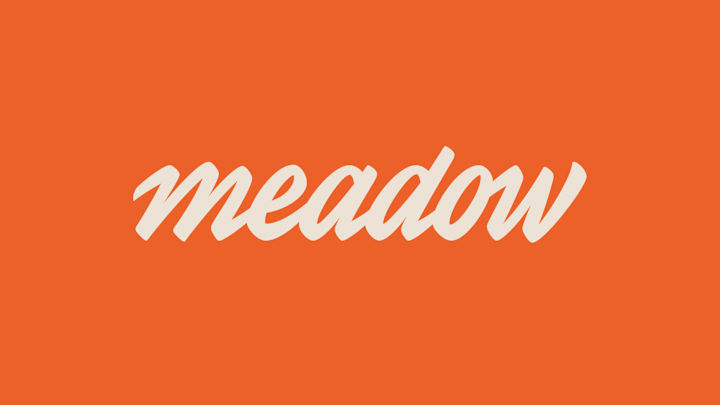 Cover image for Brand Identity for Meadow