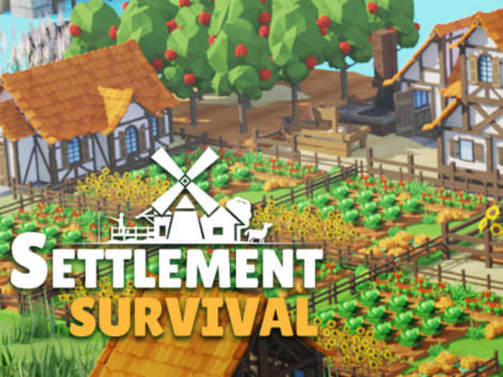Cover image for Settlement Survival