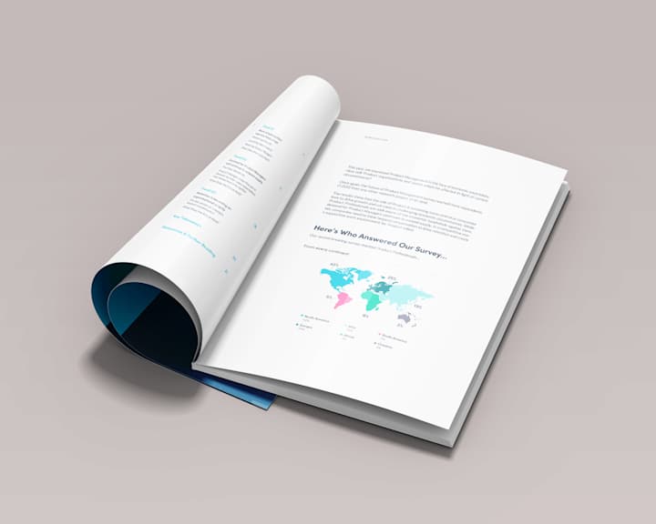 Cover image for Data Visualization | The FPMR Report