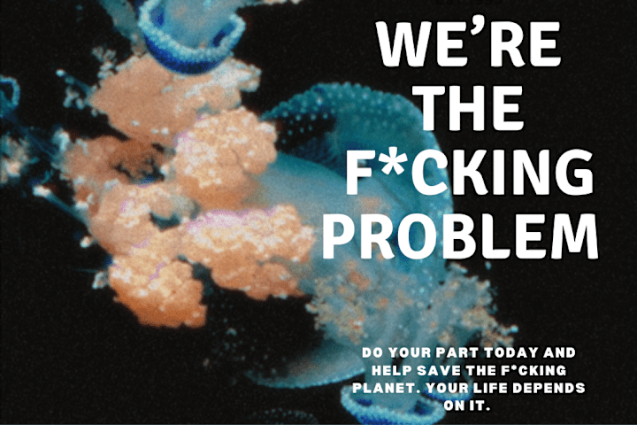 Cover image for We're The F*cking Problem 
