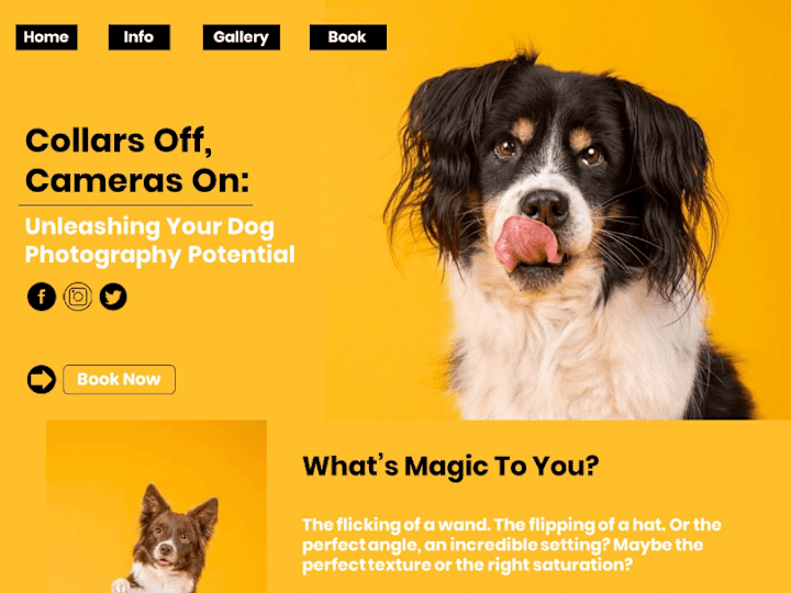 Cover image for Home Page Copy for a Dog Photography Business