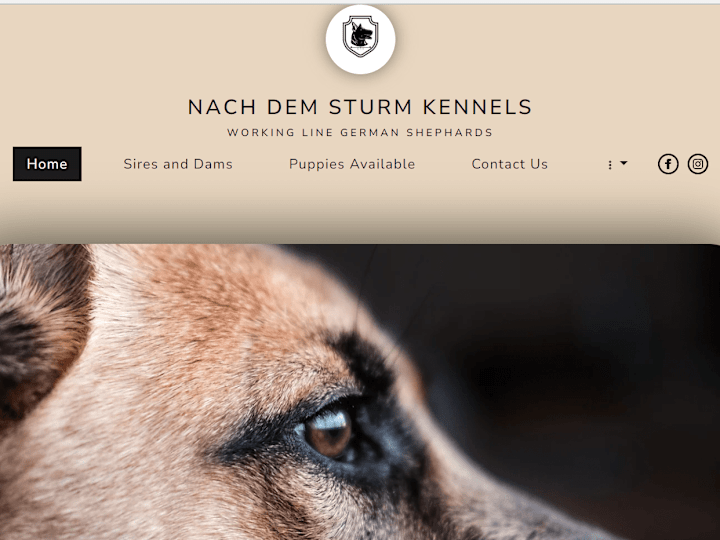 Cover image for Nach Dem Sturm Kennels - Home