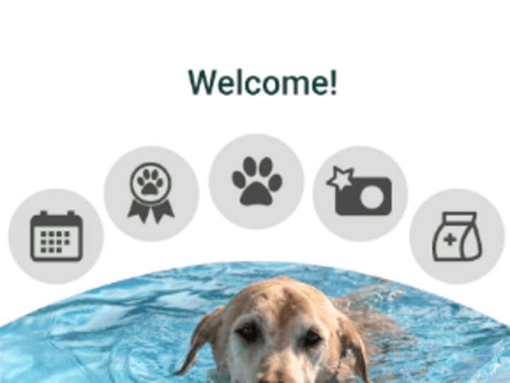 Cover image for Vet2Pet - App