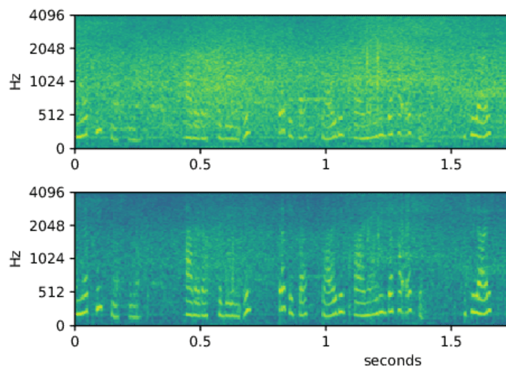 Cover image for Sex/Language Audio Classifier (2020)