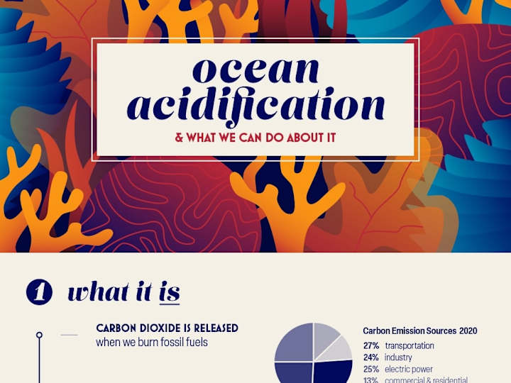 Cover image for Infographic: Ocean Acidification