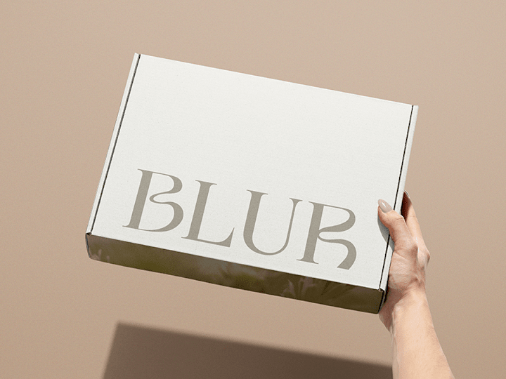 Cover image for BLUR Sustainable Fashion Brand