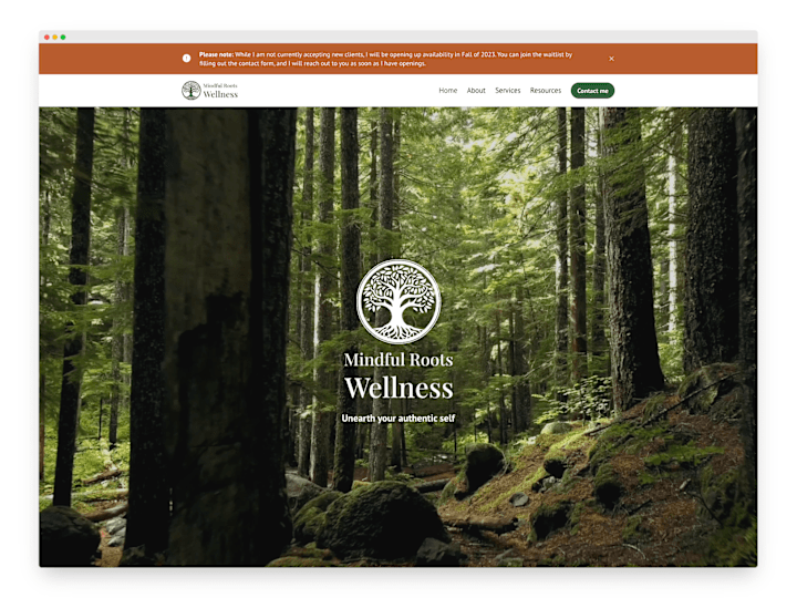 Cover image for Mindful Roots Wellness