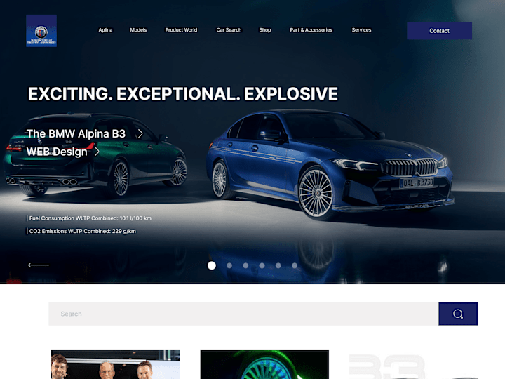 Cover image for Alpina Website Redesign