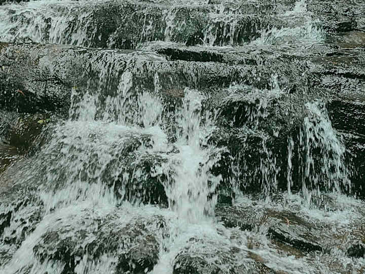 Cover image for Exploring English