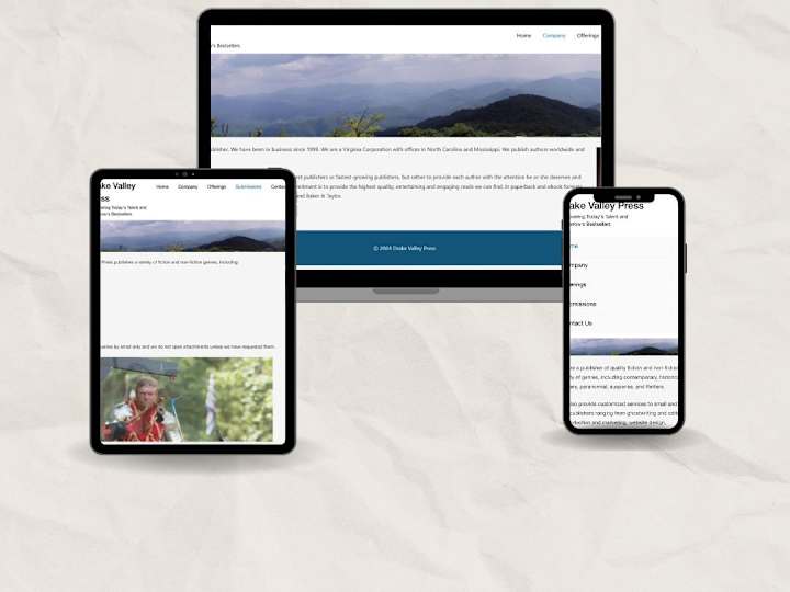 Cover image for Small Publisher Website