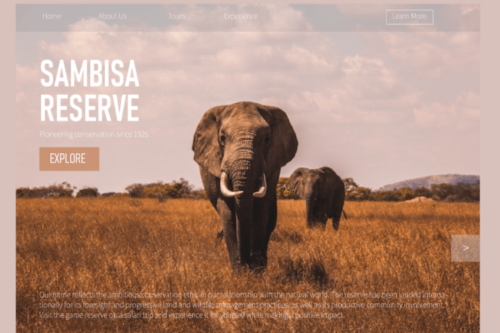 Cover image for Sambisa Forest Reserve