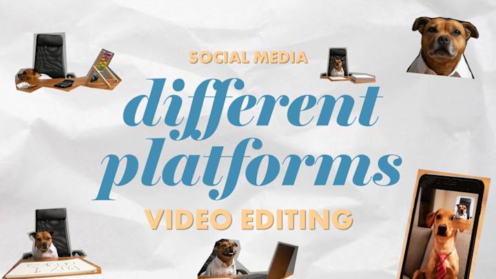 Cover image for How to edit videos for different Social Media Platforms