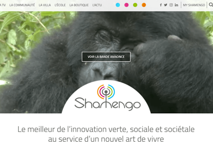 Cover image for Shamengo Platform