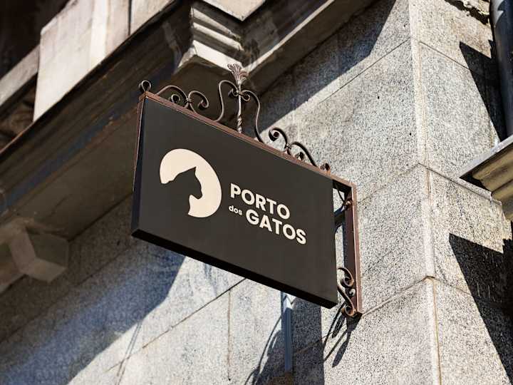 Cover image for Visual identity l Porto dos gatos