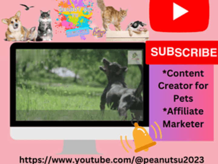 Cover image for Video Editor & Content Creator 