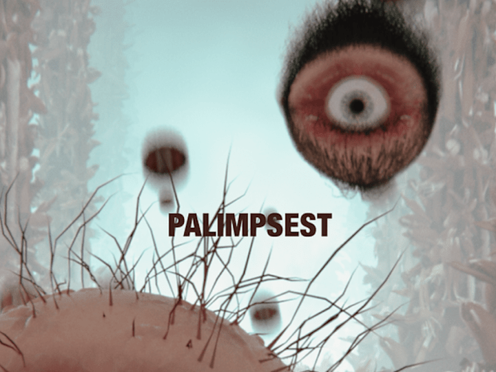 Cover image for PALIMPSEST