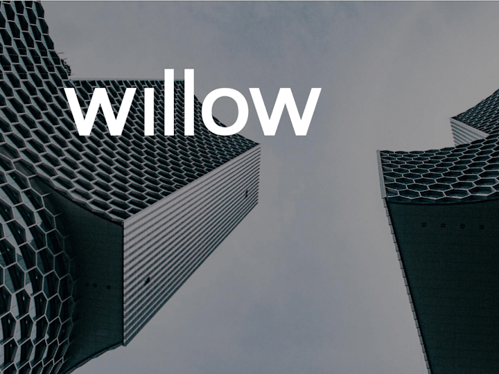 Cover image for Willow 
