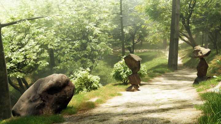 Cover image for Childhood Forest