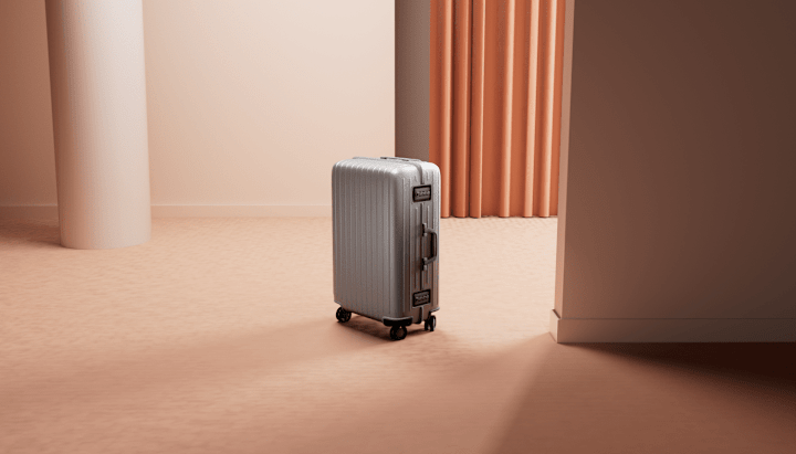Cover image for The suitcase