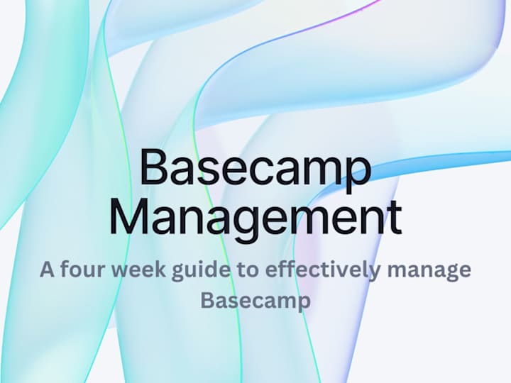 Cover image for Project Management Services
