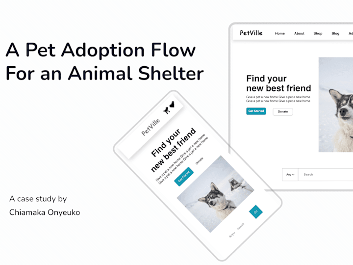 Cover image for A Pet Adoption Flow For an Animal Shelter (PetVille)
