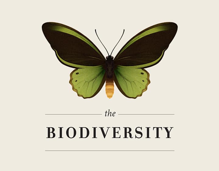 Cover image for The Biodiversity | Infographic :: Behance