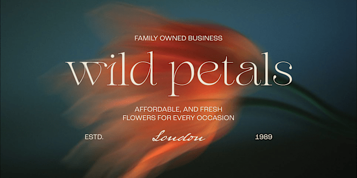 Cover image for Wild Petals | Brand designer