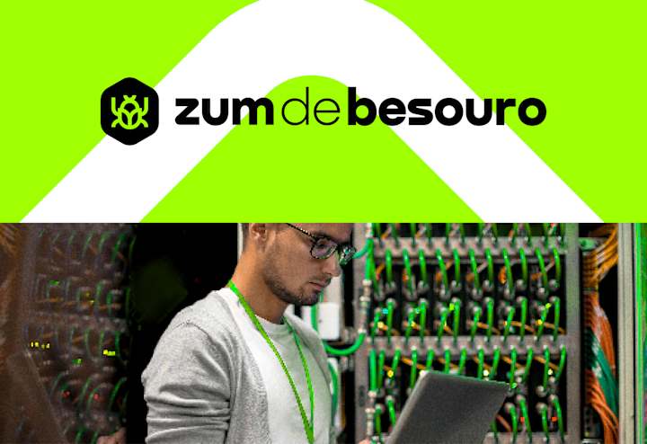 Cover image for Zum de Besouro