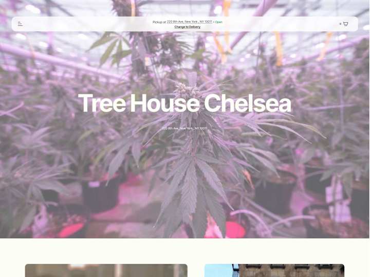 Cover image for Cannabis store Landing Page 