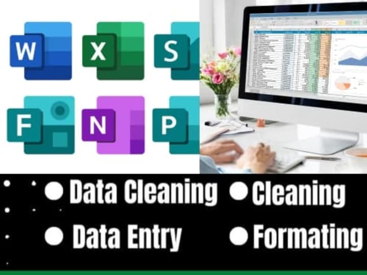 Cover image for DATA ENTRY 